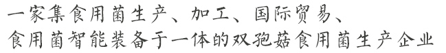 公司简介
